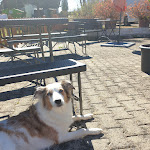 Photo n°4 de l'avis de DaRealBio. fait le 15/04/2022 à 12:44 sur le  Berghotel Steiger-Pfötchenurlaub à Schneeberg