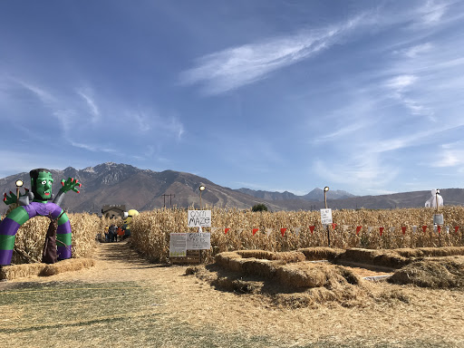 Produce Market «Kuwahara Farms», reviews and photos, 736 12300 S, Draper, UT 84020, USA