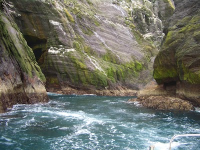 Photos of Skelligs Boat Trips
