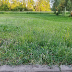 Photo n°1 de l'avis de Lexa.r fait le 25/05/2023 à 18:09 sur le  Landhotel Schorssow à Schorssow