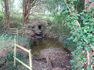 Photo n°2 de Grotte de la Remaudière - Paroisse Saint Barthelémy Entre Loire et Divatte à La Remaudière ()