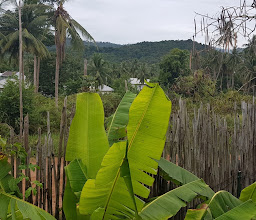 Baan Boom Boxes photo