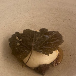 Photo n°5 de l'avis de Stefanie.e fait le 26/11/2023 à 10:22 sur le  àbitat (Radici) | Restaurant à San Fermo della Battaglia