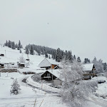 Photo n°2 de l'avis de Betti.. fait le 02/12/2023 à 18:58 sur le  Hotel-Pension Kräutle - Martin Kräutle à Feldberg