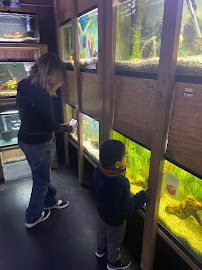 Caesar's Tropical Fish Factory - Photo 3 - Car repair in Santa Rosa, CA, Santa Rosa