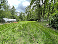 Mountain Shadows Landscaping - Photo 3 - Car repair in , Asheville