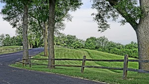 Sherman Park - photo 29