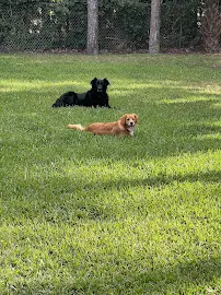 Pet Lovers Pet Sitting Inc. - Car repair in Loxahatchee Groves, FL, West Palm Beach - Rated 5.0/5