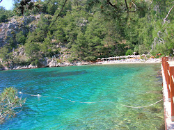 Photo de Plage du Sessiz avec #42