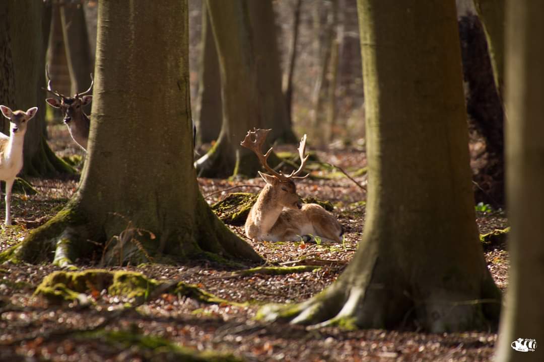 Photo n° 2 de l'avis de Catherine.e fait le 28/03/2019 à 11:56