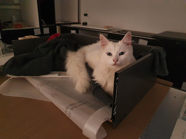 Dyreklinik Mors v/Mette Boesen Klemmensen