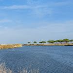 Photo n°2 de l'avis de Ursula.a fait le 15/10/2023 à 20:36 sur le  Osalla Beach Garden à Orosei