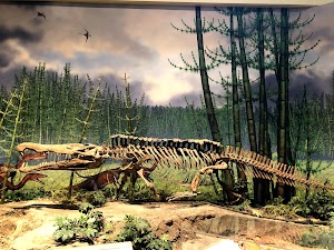 Carnegie Museum of Art - photo 11