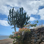 Photo n°20 de l'avis de Olga.o fait le 04/07/2023 à 19:10 sur le  Hotel Royal Orchid à Caniço