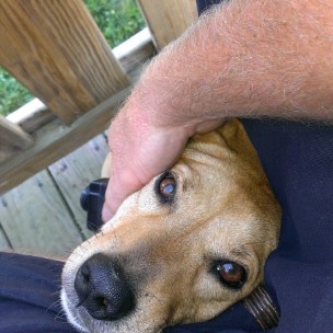 Hobby Store «ETS Hobby Shop», reviews and photos, 215 S Main St, Edinburg, VA 22824, USA