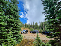 Lotus Luxury Transportation LLC - Photo 5 - Car repair in , Thornton