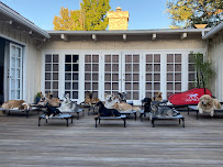 All Dogs Society - Photo 2 - Car repair in , Santa Clarita