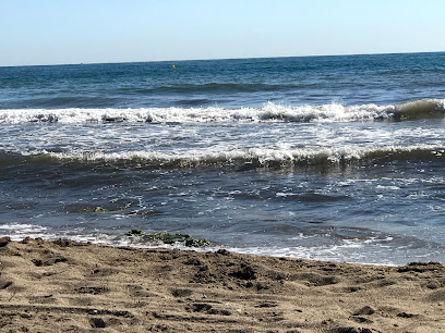 PLAYA DE PERROS URBANOVA
