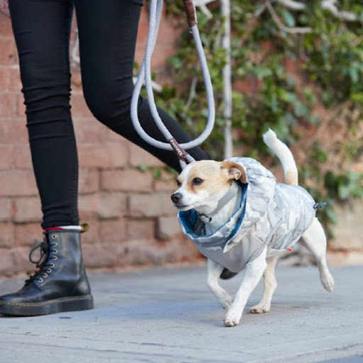 Pet Supply Store «Petco Animal Supplies», reviews and photos, 420 Harry L Dr #2, Johnson City, NY 13790, USA