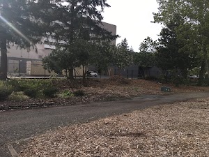Tukwila Pond Park - photo 56