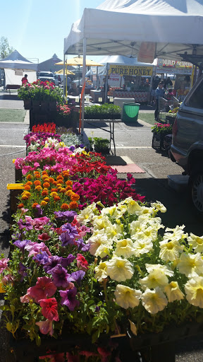 Flea Market «Mile High Flea Market», reviews and photos, 7007 E 88th Ave, Henderson, CO 80640, USA