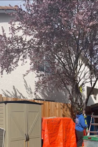 Eco Lawn Keeping - Photo 6 - Car repair in , Roseville