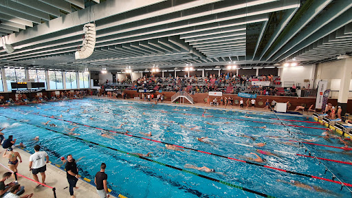 Cours de natation pour adultes Toulouse