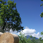 Photo n°4 de l'avis de Anna.u fait le 19/04/2017 à 06:44 sur le  Maneggio Team Horse à San Pietro Ad Lacum