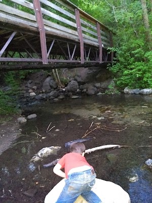 Mueller Park Picnic Area - photo 56