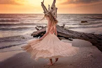 Doodle Fly Photography - Car repair in , Cape Coral - Rated 4.7/5