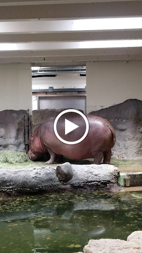 Zoo «Monkey Island», reviews and photos, 8 E 23rd Ave, Denver, CO 80205, USA