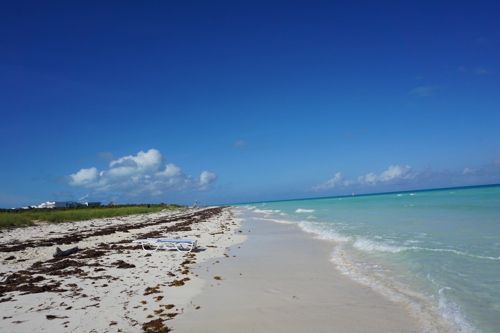 Playa Las Gaviotas'in fotoğrafı imkanlar alanı