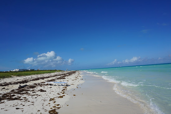 Playa Las Gaviotas