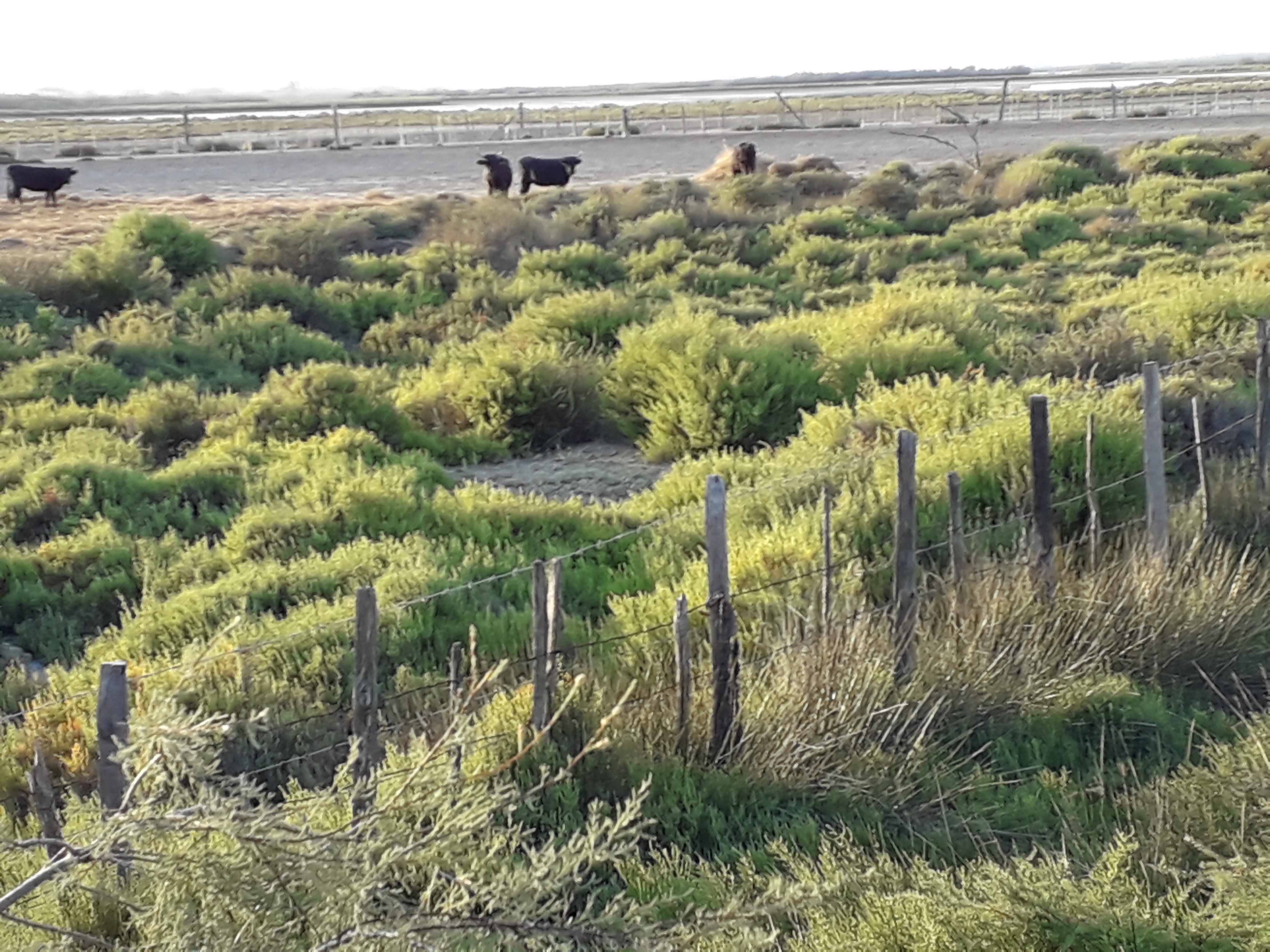 Photo n° 5 de l'avis de chantal.i fait le 26/09/2018 à 06:19