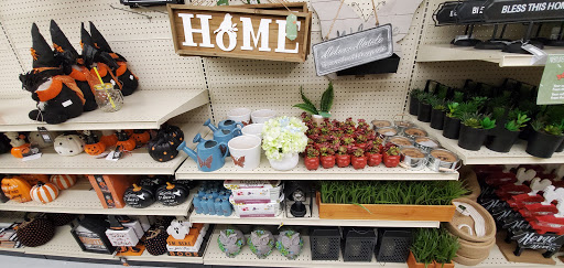 Discount Store «Big Lots», reviews and photos, 50700 Gratiot Ave, Chesterfield, MI 48051, USA