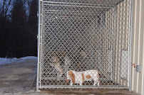 First Choice Grooming and Boarding, LLC - Photo 3 - Car repair in Appleton, WI, Appleton