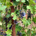 Photo n°6 de l'avis de Eline. fait le 15/10/2019 à 08:05 sur le  Casa Aromi ed Arte à Sessant