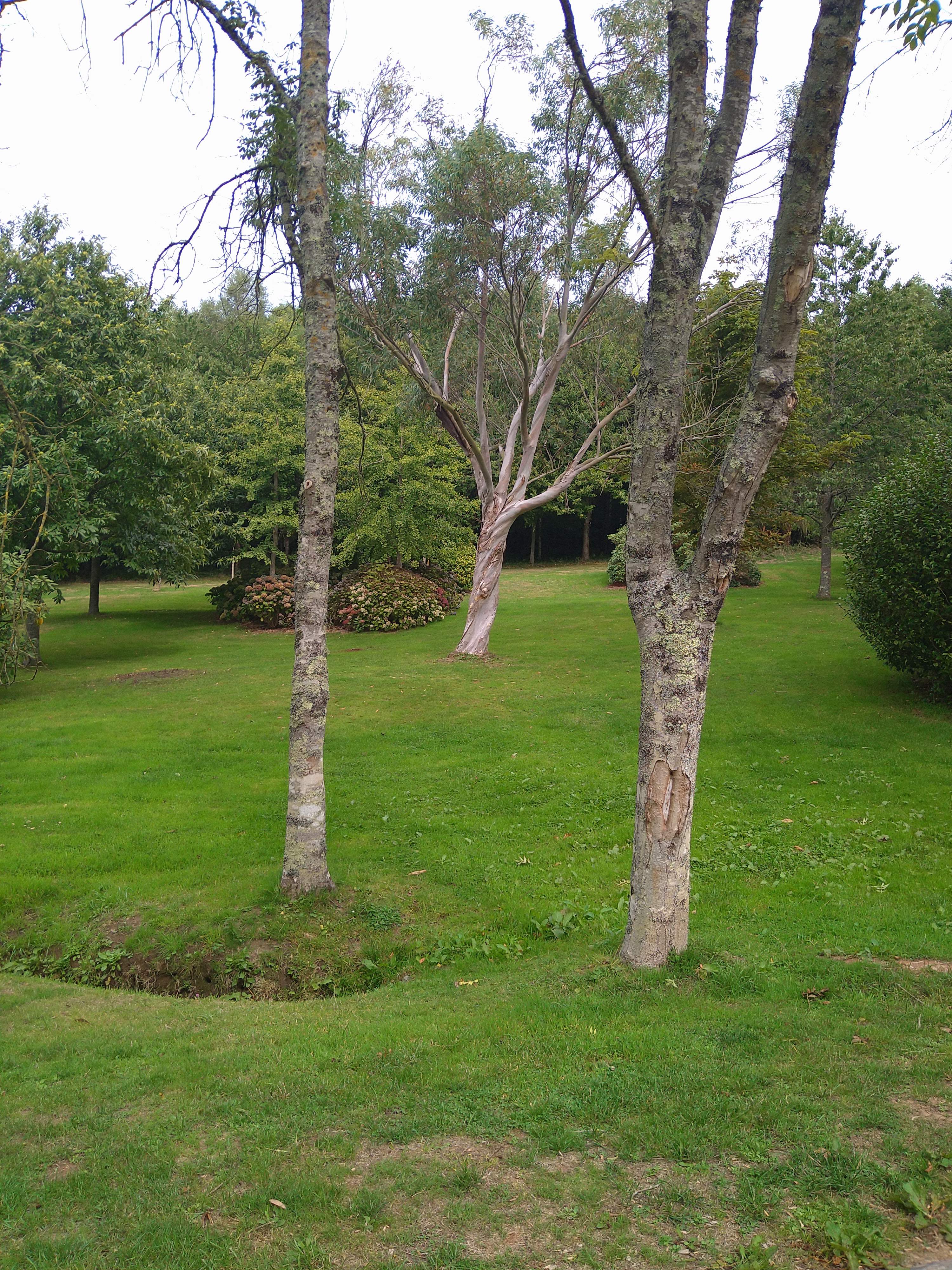Photo n° 2 de l'avis de odile.U fait le 13/09/2022 à 18:01