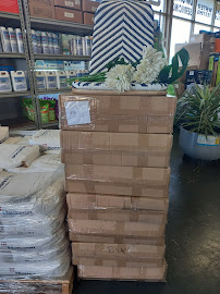 Swim-in - Photo 6 - Car repair in O'Connor WA, Australia, Aguadilla