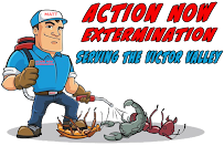 Action Now Extermination - Photo 5 - Car repair in , Victorville