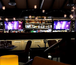 La Bikina Chihuahua photo