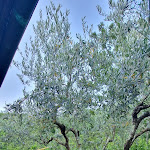 Photo n°9 de l'avis de Lovely.o fait le 18/07/2021 à 18:58 sur le  Ristorante Il Guerriero di Pellini Barbara à Vetriano