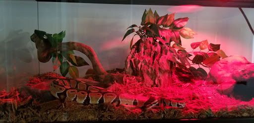 Pet Store «Super Pets», reviews and photos, 1807 E Chapman Ave, Orange, CA 92867, USA