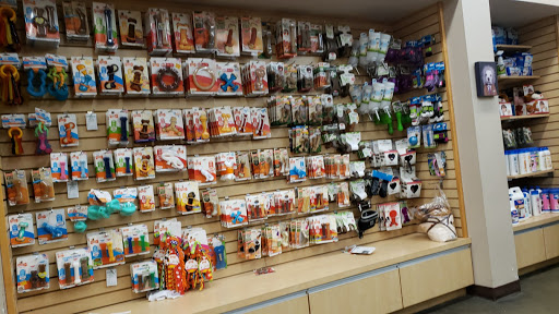 Pet Store «Animal Kingdom», reviews and photos, 5000 S Arizona Mills Cir, Tempe, AZ 85282, USA