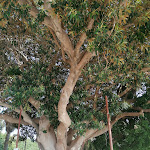 Photo n°1 de l'avis de Edgardo.l fait le 14/11/2023 à 16:25 sur le  mazara del vallo à Mazara del Vallo