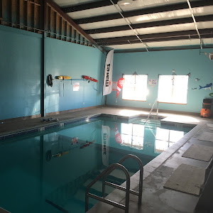 Sharkys Scuba - review photo