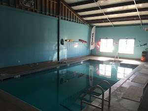 Sharkys Scuba - photo 8