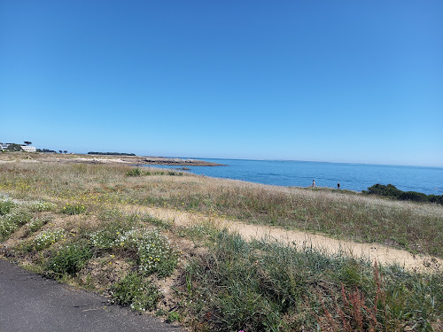 Agence de visites touristiques PETITS TRAINS TOURISTIQUES LE BAYON QUIBERON Quiberon