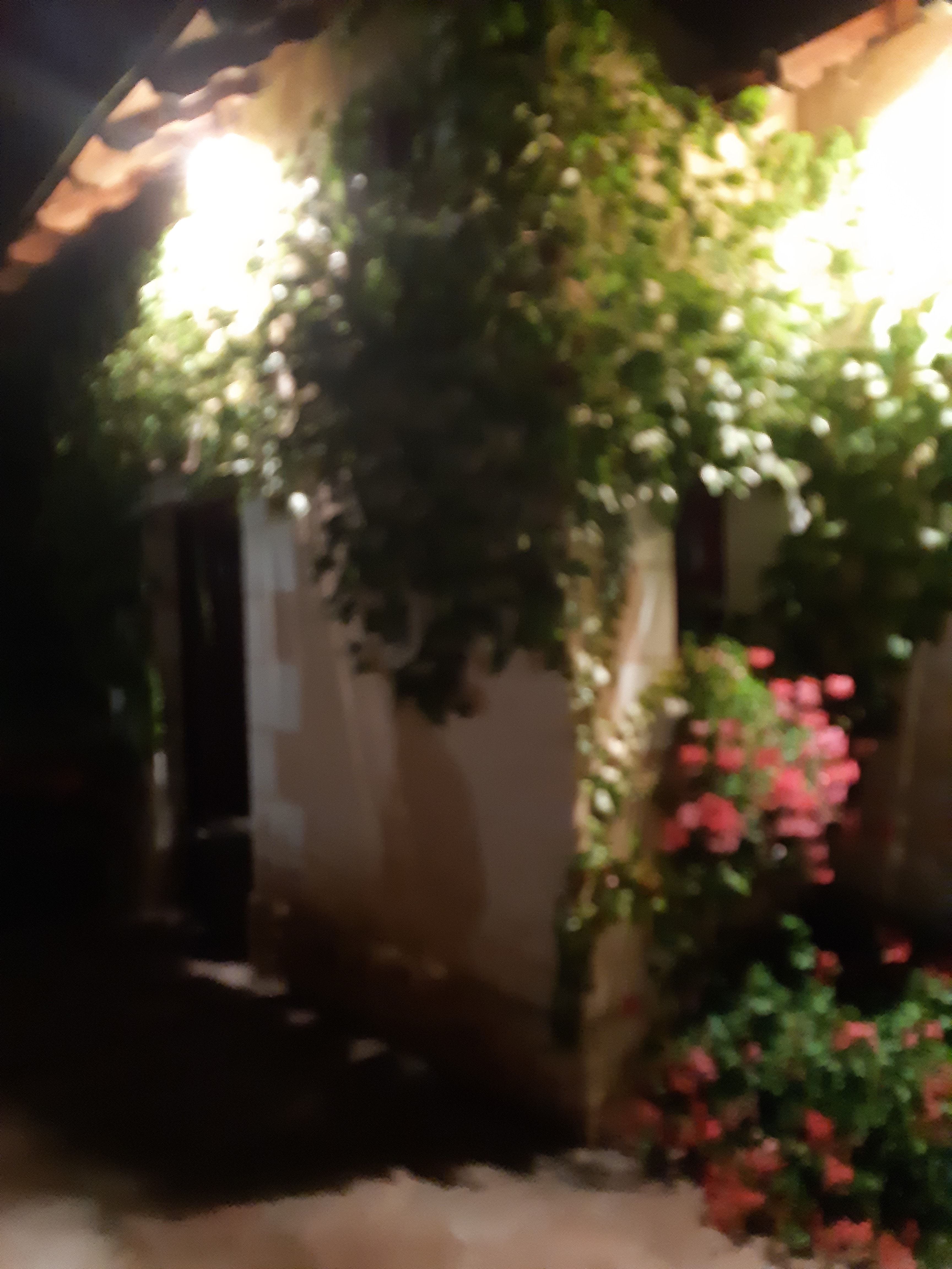 Photo n° 4 de l'avis de mariethe.e fait le 28/09/2019 à 21:00