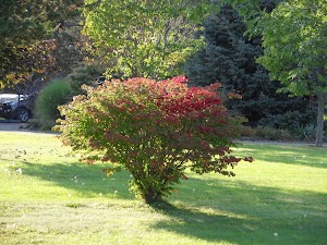 Legends on the Niagara Golf Course - photo 41